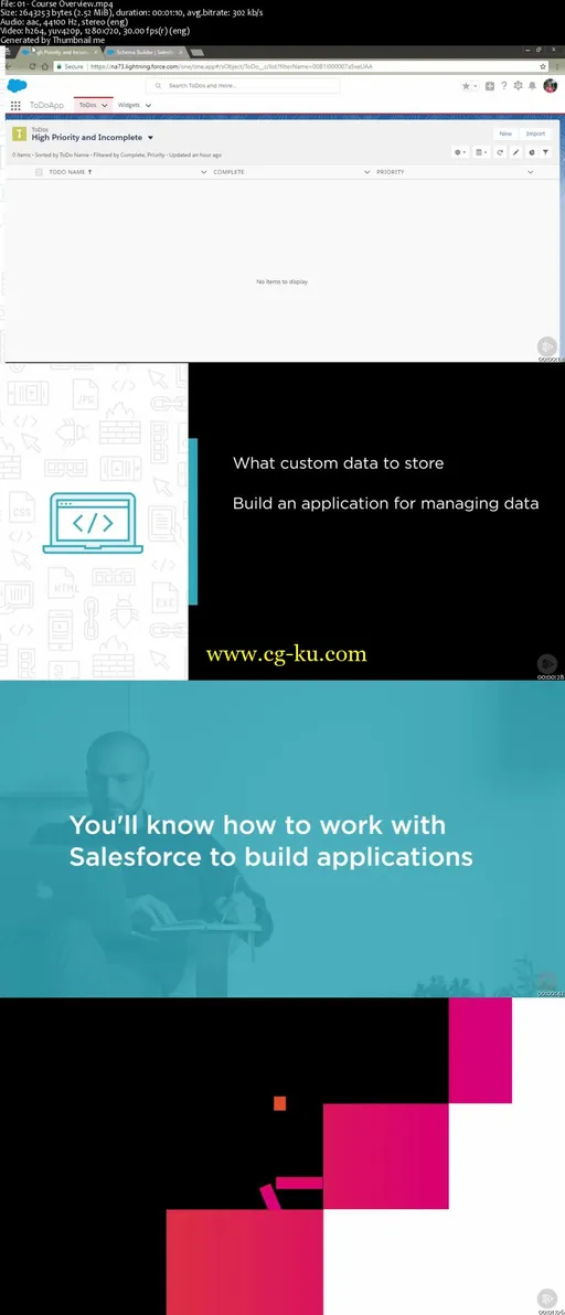 Building Your First Salesforce Application的图片2