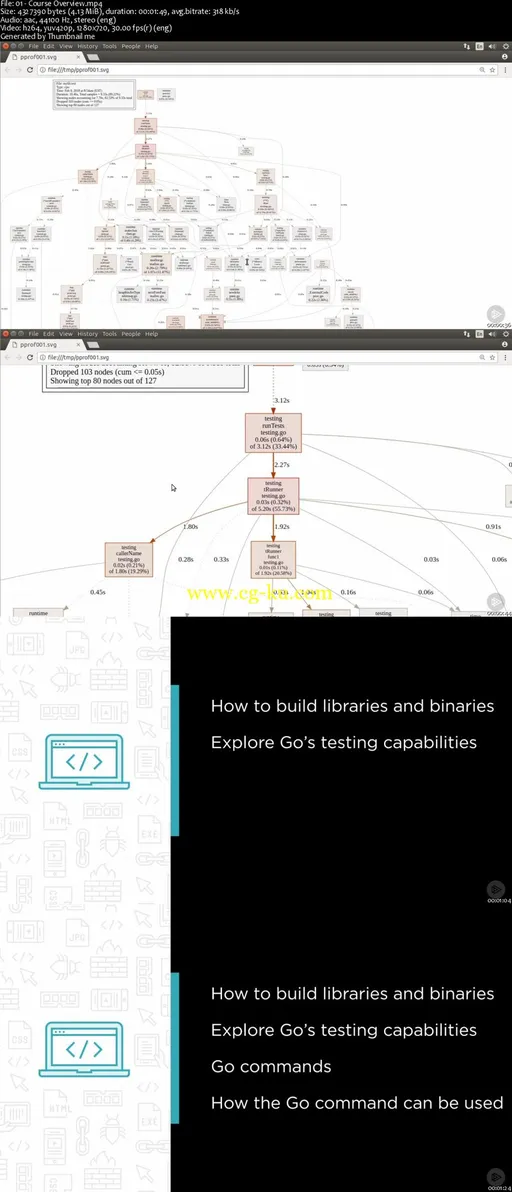 The Go CLI Playbook的图片2