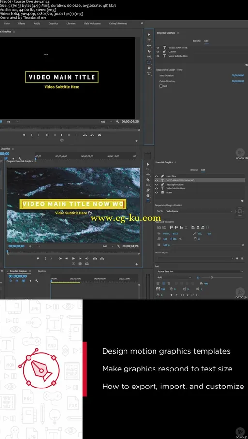 Premiere Pro CC Essential Graphics的图片2
