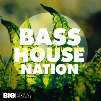 Big EDM Bass House Nation WAV MiDi XFER RECORDS SERUM-DISCOVER的图片1