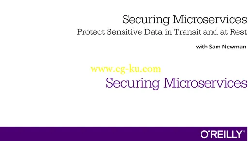 Securing Microservices: Protect Sensitive Data in Transit and at Rest的图片1