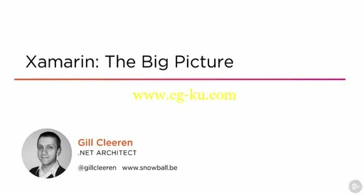 Xamarin: The Big Picture的图片1