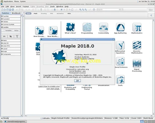 Maplesoft Maple 2018.0 Linux的图片2