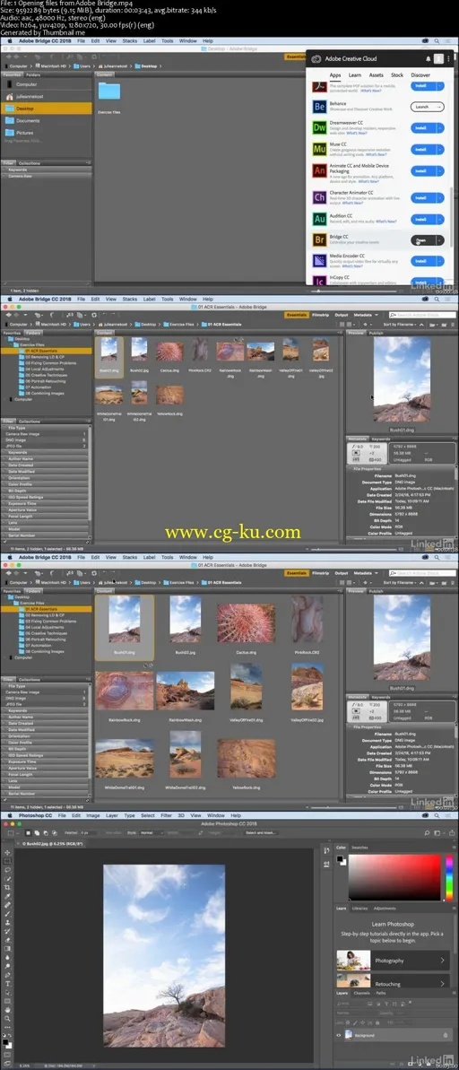 Adobe Camera Raw Essential Training 2018的图片2