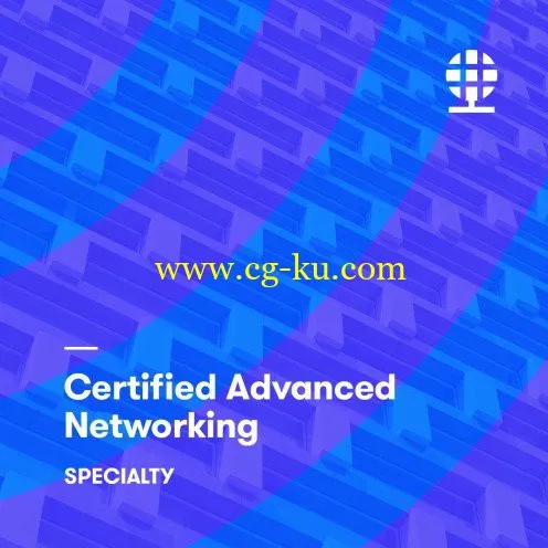 AWS Certified Advanced Networking – Specialty的图片1
