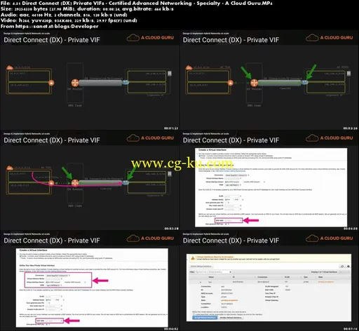 AWS Certified Advanced Networking – Specialty的图片2