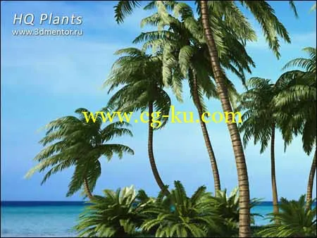3DMentor HQ Palms 1的图片1