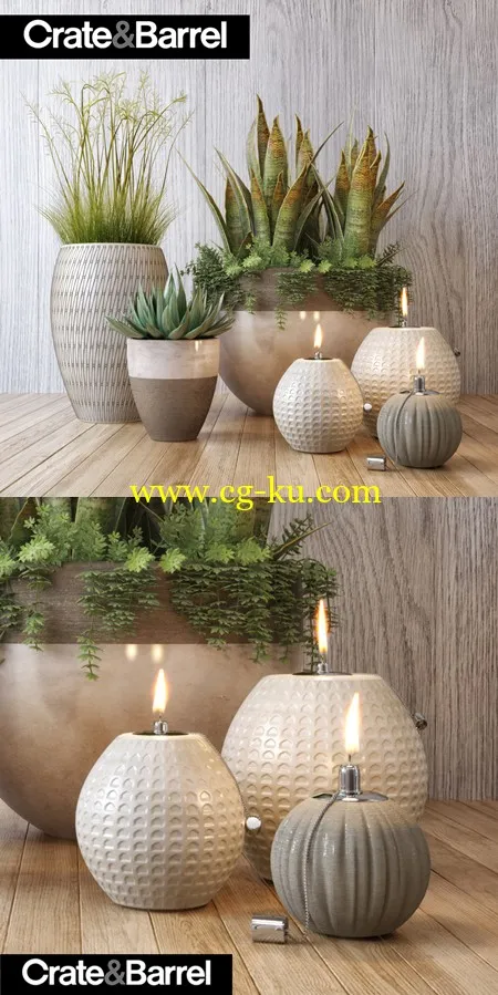 Crate&Barrel plant set的图片1