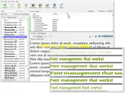 Insider Software FontAgent Pro 4.5.004的图片1