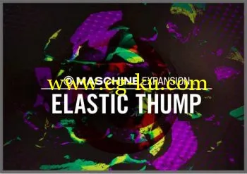 Native Instruments Maschine Expansion Elastic Thump v2.0.0 WiN的图片1