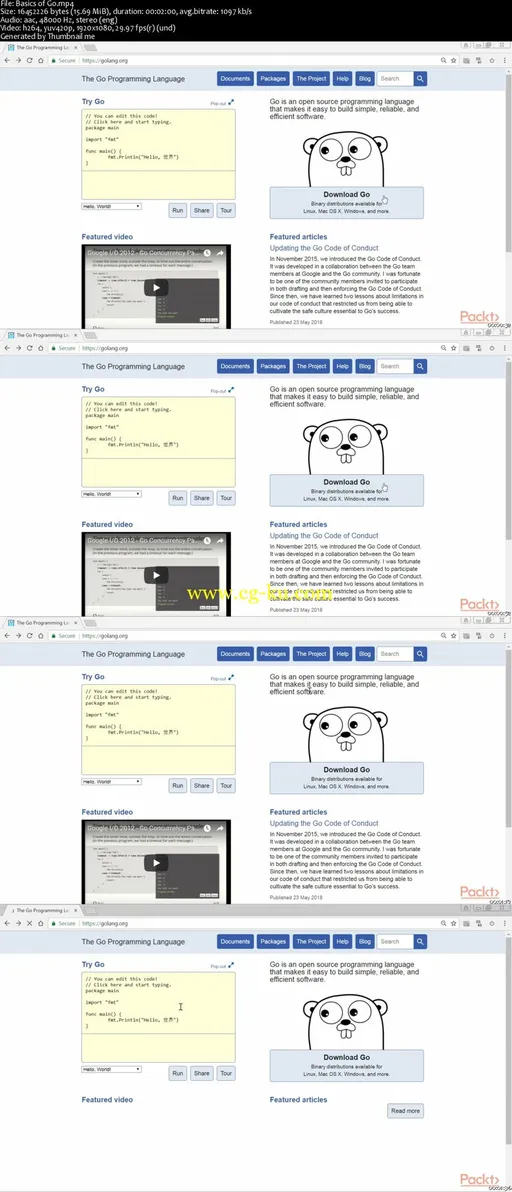 Learning Go Data Structures and Algorithms的图片2