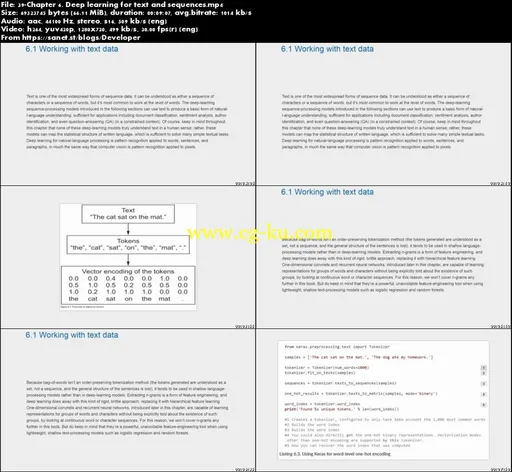 Deep Learning with Python Video Edition的图片1
