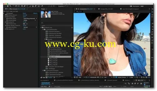 RevisionFX SmoothKit for After Effects 3.3.5 MacOS的图片1