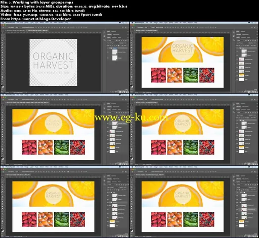 Essential Training Photoshop CC 2018 – Basics (with subs)的图片3