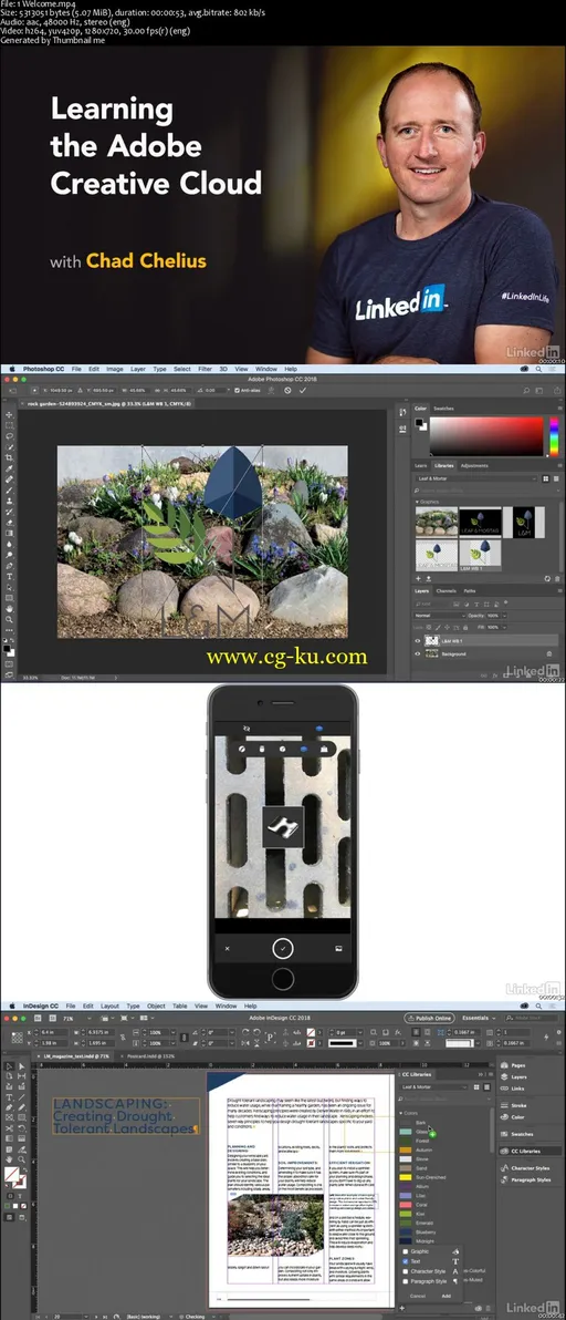 Learning the Adobe Creative Cloud的图片2