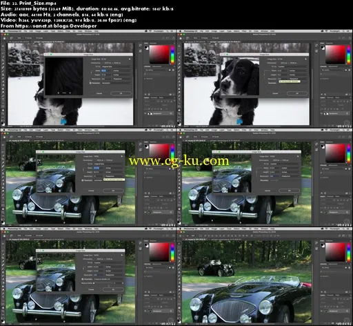 Photoshop CC Fundamentals的图片1