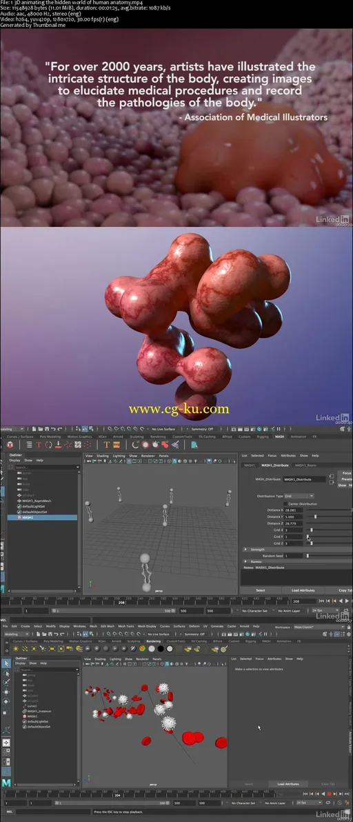 Maya: Fundamentals of Medical Animations的图片2