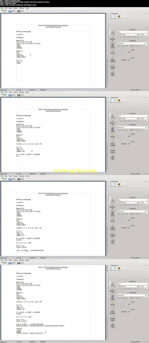 Dart Programming Basics的图片1