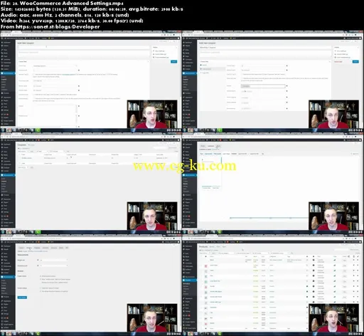 The Ultimate Guide to Building Your WordPress Website的图片3