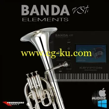 Producers Vault Banda Elements v1.1 x86 WiN的图片1
