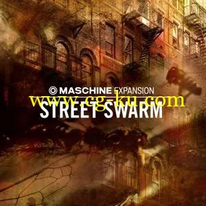 Native Instruments Maschine Expansion Street Swarm v2.0.0的图片1