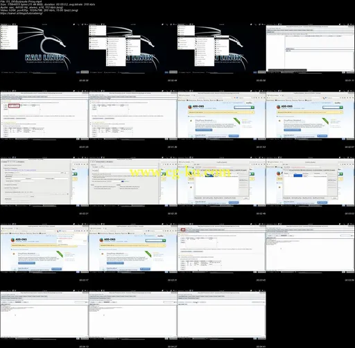 Penetration Testing and Ethical Hacking with Kali Linux的图片1
