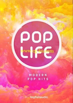 Big Fish Audio Pop Life Modern Pop Hits MULTiFORMAT的图片1