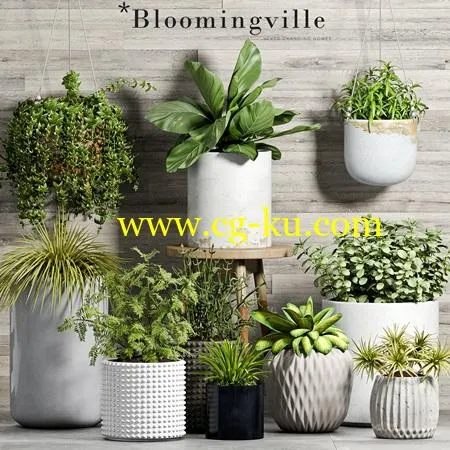 PLANT SET 58的图片1