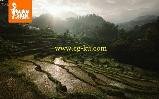 Alien Skin Software Photo Bundle (Updated Sep 2018) Win x64的图片1
