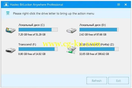 Hasleo BitLocker Anywhere 4.6 Professional的图片1