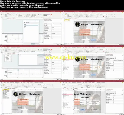 Access 2019: Tips, Tricks, and Techniques的图片5