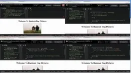 The Advanced Web Developer Bootcamp的图片3