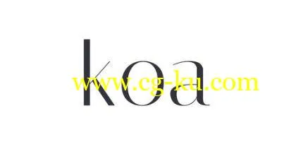 Node.Js: Learning Koa.Js By Building REST APIs的图片2