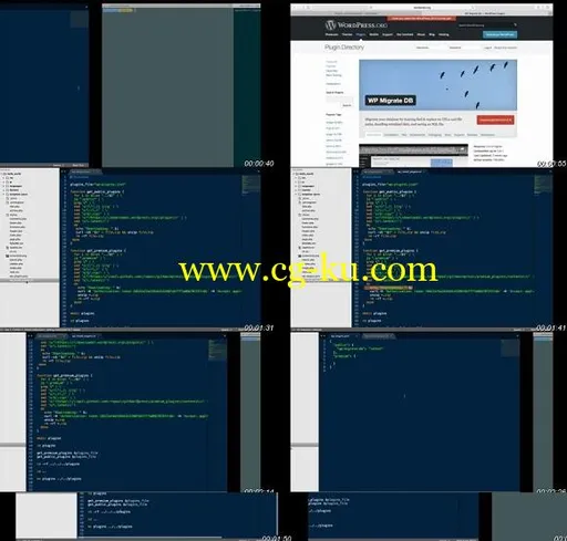 Git for WordPress Developers的图片3