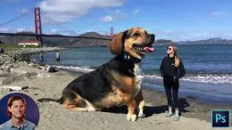 Enlarge Your Pet in Photoshop的图片1