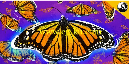 Painter 2019 Essential Training的图片3
