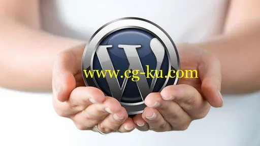 SEO WordPress Training: The Best Google Rank Strategies的图片1