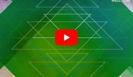 Surge Sounds Future House WAV MiDi XFER RECORDS SERUM NATiVE iNSTRUMENTS MASSiVE-DISCOVER的图片1