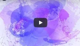 Surge Sounds Grey Smoke WAV MiDi XFER RECORDS SERUM-DISCOVER的图片1