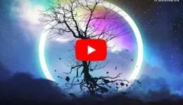 Surge Sounds Melodic Dubstep WAV MiDi XFER RECORDS SERUM NATiVE iNSTRUMENTS MASSiVE-DISCOVER的图片1