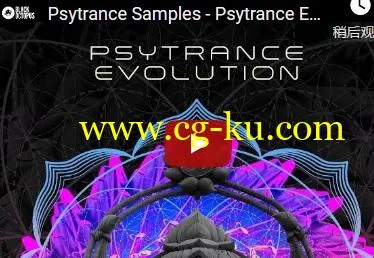 Production Master Psytrance Evolution WAV-DISCOVER的图片2