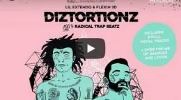 Production Master Diztortionz WAV-DISCOVER的图片1