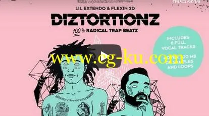 Production Master Diztortionz WAV-DISCOVER的图片2
