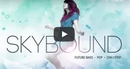 Production Master Skybound WAV XFER RECORDS SERUM-DISCOVER的图片1