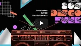 Black Octopus Sound 80s Disco Funk WAV-DISCOVER的图片1