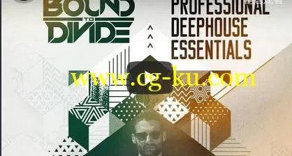 Black Octopus Sound Professional Deep House Essentials WAV MiDi XFER RECORDS SERUM-DISCOVER的图片2
