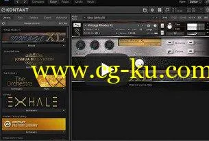Perfect Kits Vintage Rhodes XL For NATiVE iNSTRUMENTS KONTAKT-DISCOVER的图片3