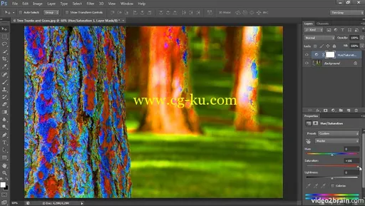 Mastering Color Correction in Photoshop Take Control of the Colors in Your Images的图片2