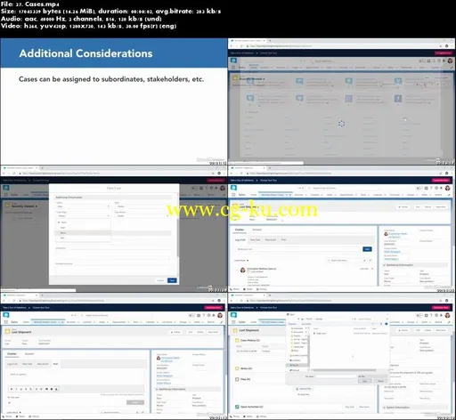 Learning Salesforce Admin (Dec. 2018)的图片5