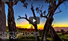 Function Loops Prime Pop WAV MiDi VSTi PRESETS-DISCOVER的图片1